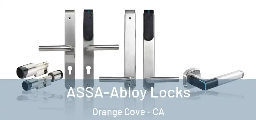  ASSA-Abloy Locks Orange Cove - CA