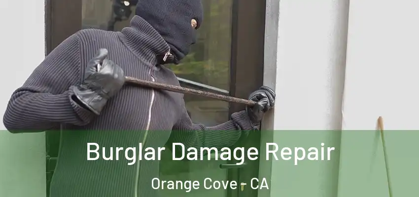 Burglar Damage Repair Orange Cove - CA