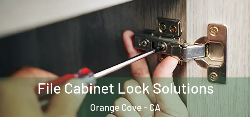  File Cabinet Lock Solutions Orange Cove - CA